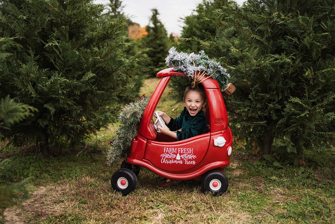 Athens, AL Christmas Tree Farm Minis Mini Car